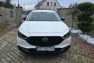 EUROPA 4x4AWD Full Ledy Super Niski przebieg Bezwypadek