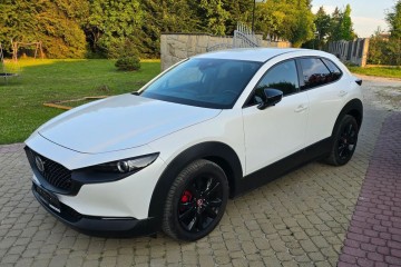 4x4AWD Full Ledy Super Niski przebieg Bezwypadek