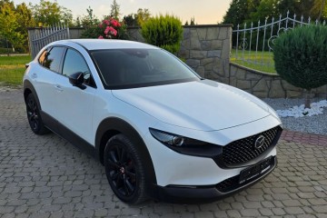 4x4AWD Full Ledy Super Niski przebieg Bezwypadek